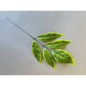 В112 Ветка манго 5 листов с кантом h-60см
